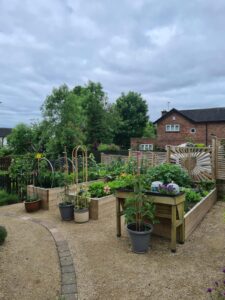 pruning trees and shrubs by Manders Fencing and Gardening Services in Nottingham landscaping services Nottingham landscaper in newstead